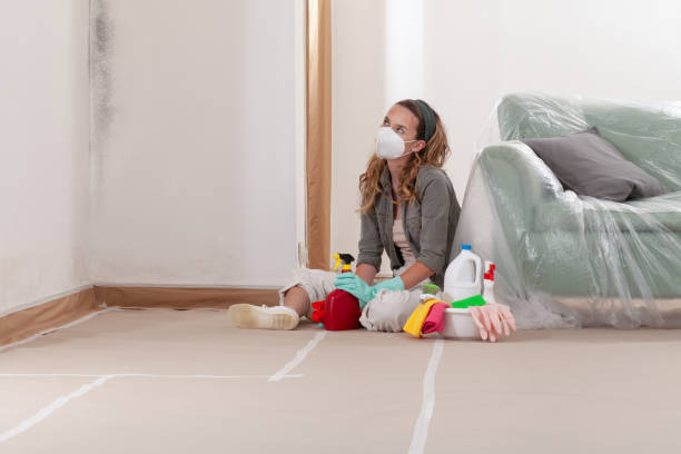 Reliable Mold Remediation contractor in Naperville, IL by WQB Mold Removal